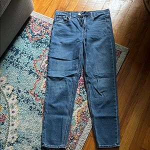 American Eagle Outfitters Dark Blue Slim Jeans